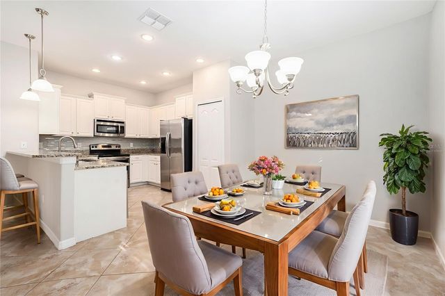 20541 GRAND VISTA LANE, Tampa, FL 33647