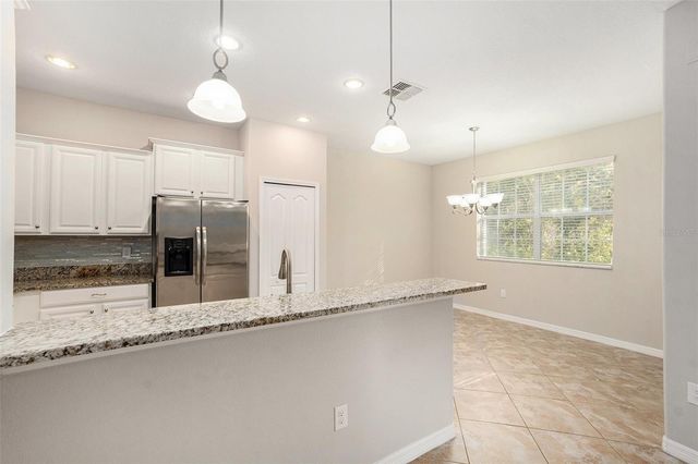 20541 GRAND VISTA LANE, Tampa, FL 33647