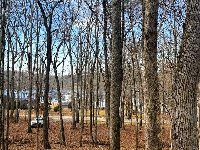 Lakeview 3 Highway 304, Ten Mile, TN 37880