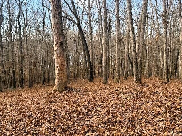 Lakeview 3 Highway 304, Ten Mile, TN 37880