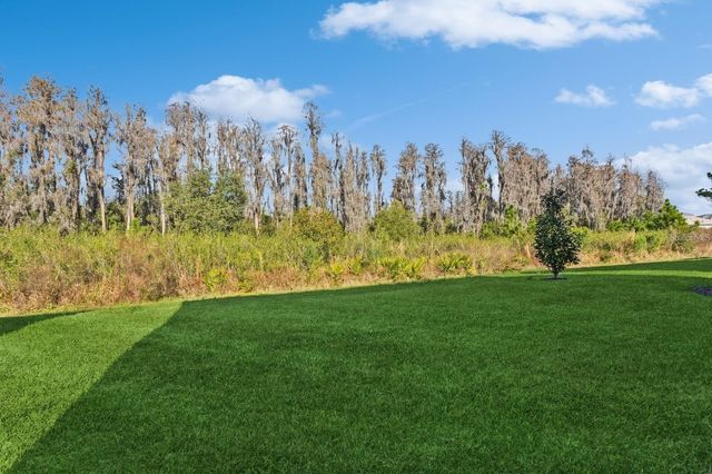 3281 GREAT BANYAN WAY, Wesley Chapel, FL 33543