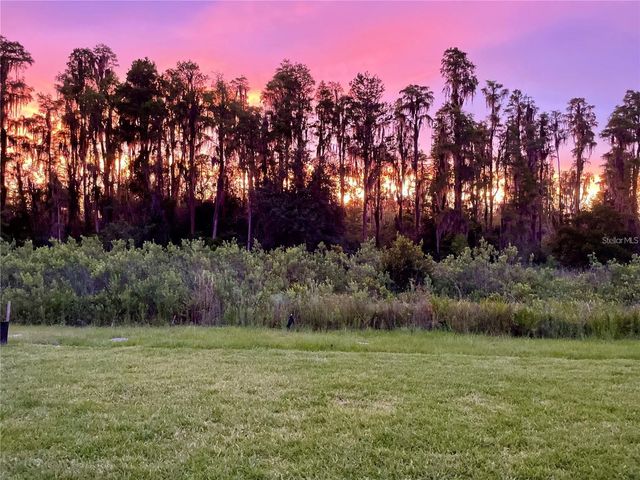 3281 GREAT BANYAN WAY, Wesley Chapel, FL 33543