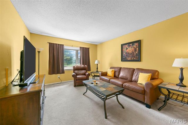 1411 Willow Brook Cove 8, St Louis, MO 63146