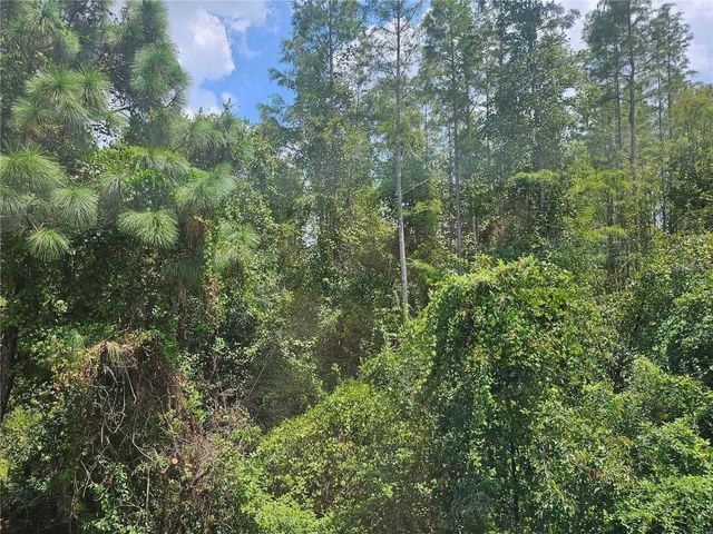 1120 BLACKWATER DRIVE, Wesley Chapel, FL 33543