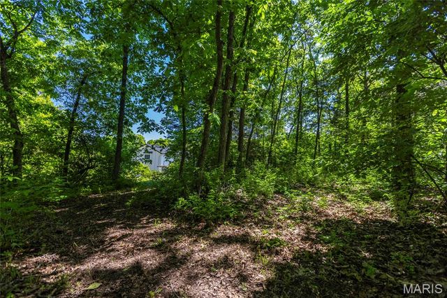 21762 Country Life Acres, Warrenton, MO 63383