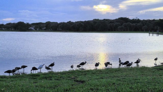 3130 Millwood Terrace 2160, Boca Raton, FL 33431