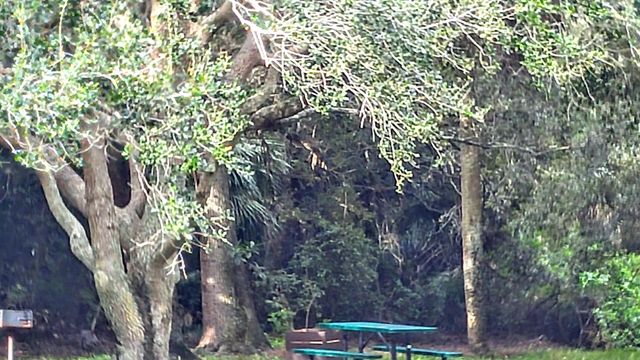 3130 Millwood Terrace 2160, Boca Raton, FL 33431