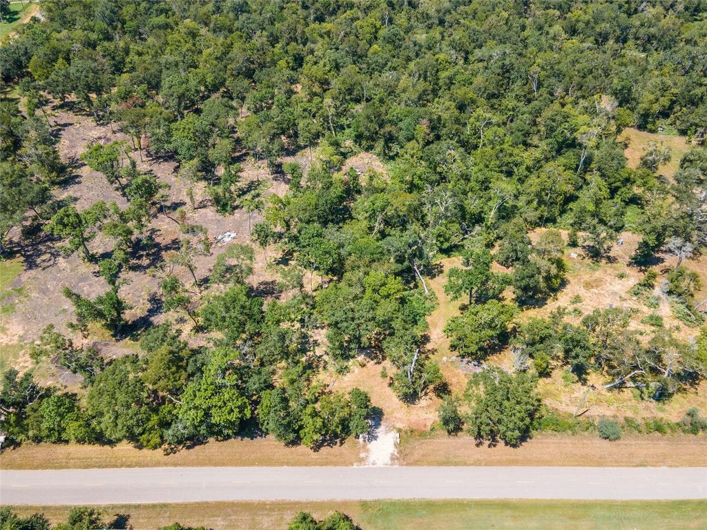 145 Cr-849, Brazoria, TX 77422