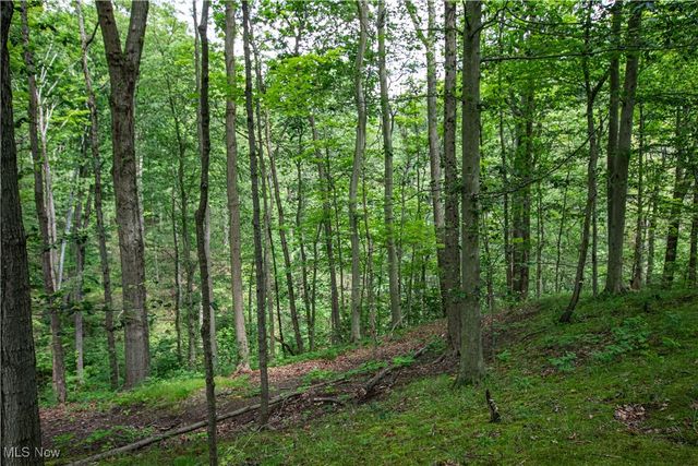 389 Bentleyville Road, Moreland Hills, OH 44022