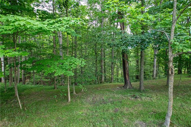 389 Bentleyville Road, Moreland Hills, OH 44022