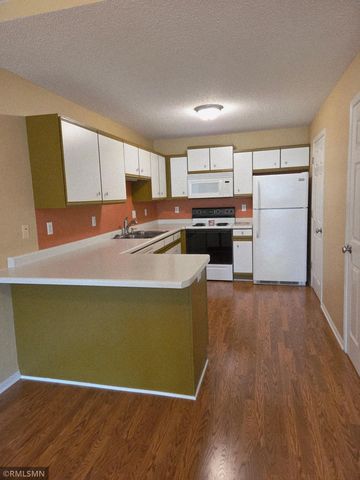 11003 57th Street NE, Albertville, MN 55301