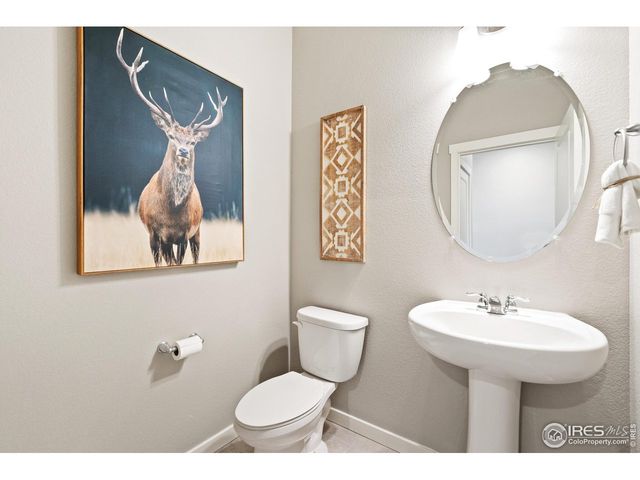 5003 Buelingo Dr, Windsor, CO 80528