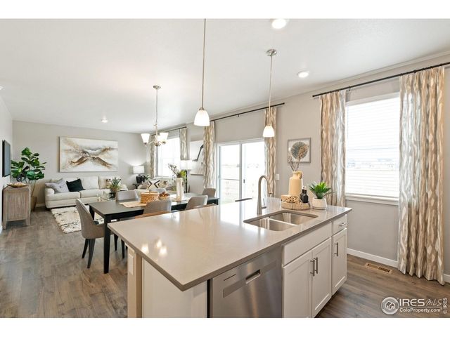 5003 Buelingo Dr, Windsor, CO 80528