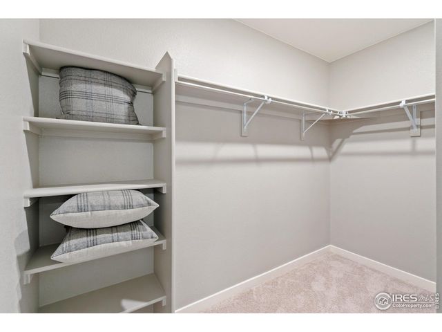 5003 Buelingo Dr, Windsor, CO 80528