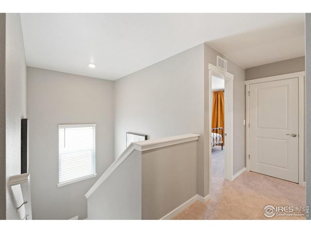 5003 Buelingo Dr, Windsor, CO 80528