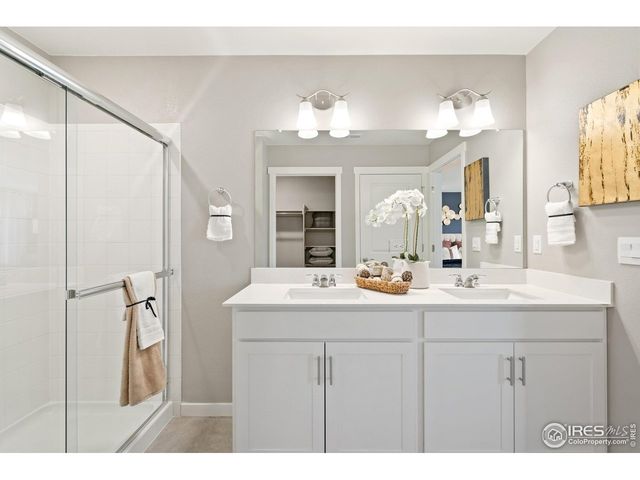 5003 Buelingo Dr, Windsor, CO 80528