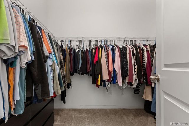 8517 Eckley Street, Littleton, CO 80125