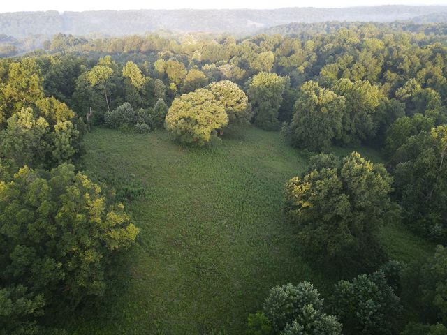 6 Shiloh Canaan Road, Palmyra, TN 37142