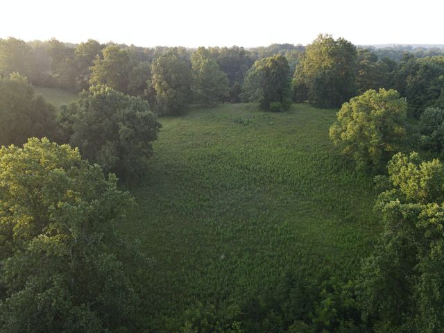 6 Shiloh Canaan Road, Palmyra, TN 37142