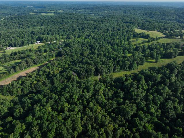 6 Shiloh Canaan Road, Palmyra, TN 37142