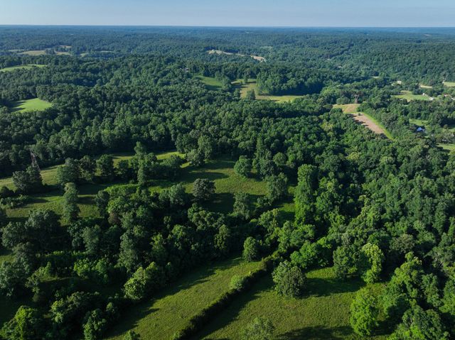 6 Shiloh Canaan Road, Palmyra, TN 37142