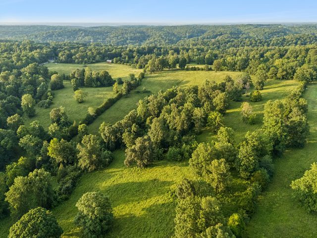 6 Shiloh Canaan Road, Palmyra, TN 37142