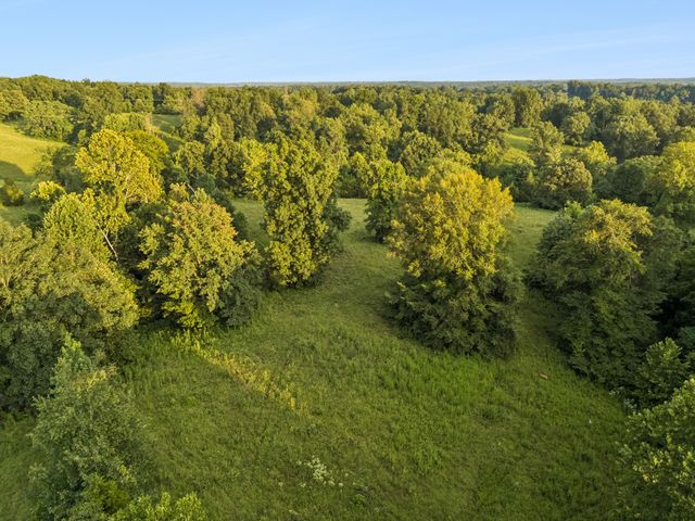 6 Shiloh Canaan Road, Palmyra, TN 37142