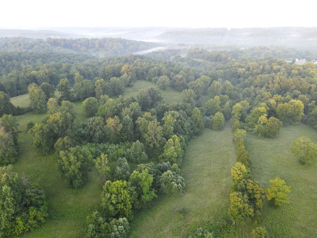 6 Shiloh Canaan Road, Palmyra, TN 37142