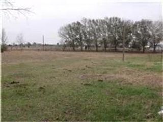 19703 Frey Road, Pine Island, TX 77445
