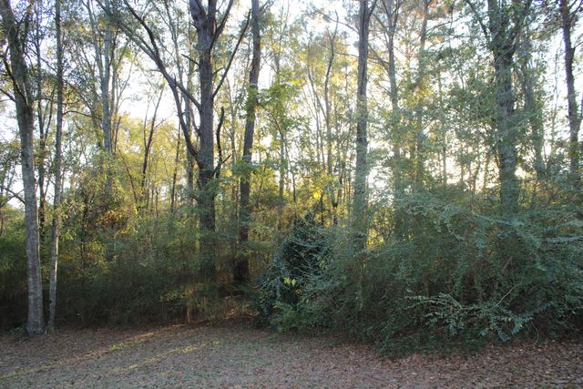 136 Country Cir, Ellisville, MS 39437