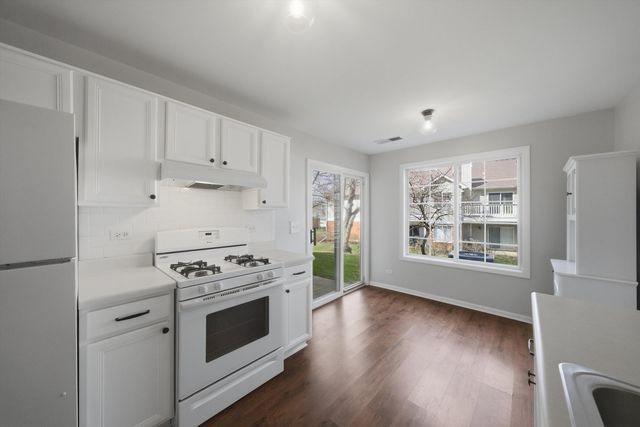 221 Norfolk Court 3, Roselle, IL 60172