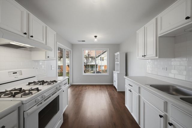 221 Norfolk Court 3, Roselle, IL 60172