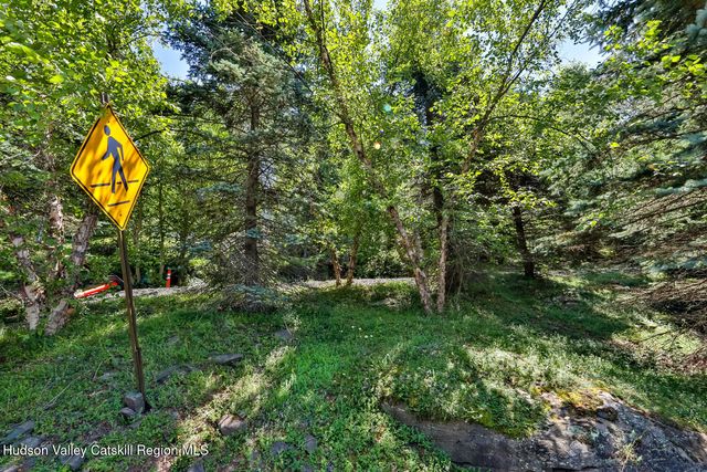 37 White Way, Windham, NY 12496