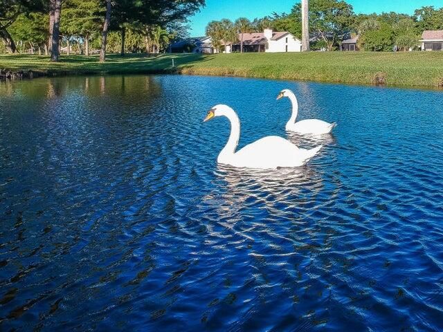 5242 Fairway Woods Drive 3611, Delray Beach, FL 33484