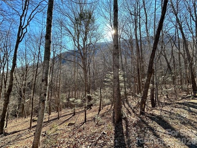 Lot 229 Swallow Lane, Lake Lure, NC 28746