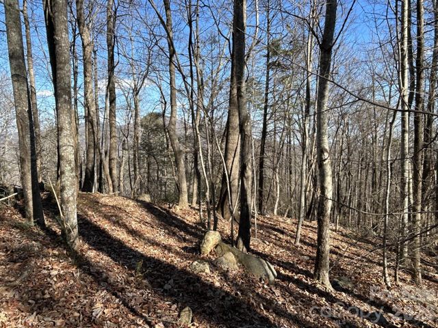 Lot 229 Swallow Lane, Lake Lure, NC 28746