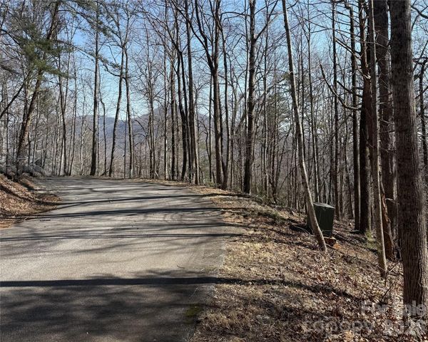 Lot 229 Swallow Lane, Lake Lure, NC 28746