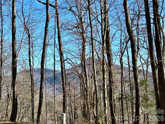 Lot 229 Swallow Lane, Lake Lure, NC 28746