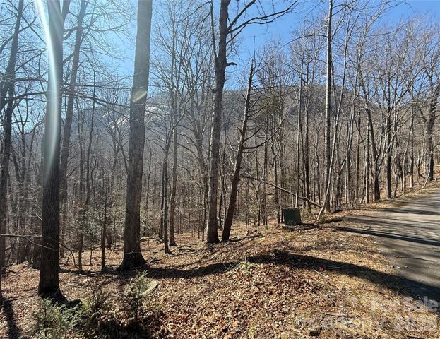 Lot 229 Swallow Lane, Lake Lure, NC 28746