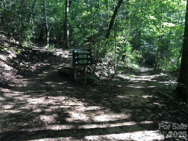 Lot 229 Swallow Lane, Lake Lure, NC 28746