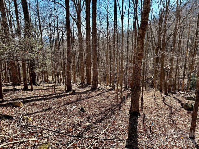 Lot 229 Swallow Lane, Lake Lure, NC 28746