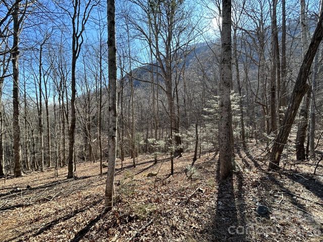 Lot 229 Swallow Lane, Lake Lure, NC 28746