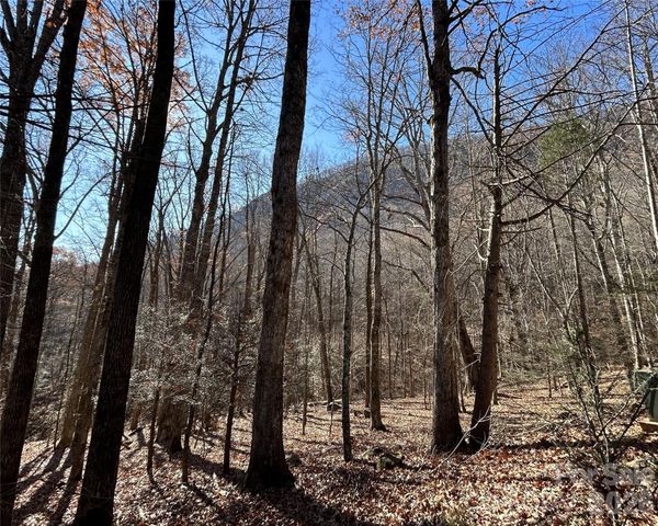Lot 229 Swallow Lane, Lake Lure, NC 28746