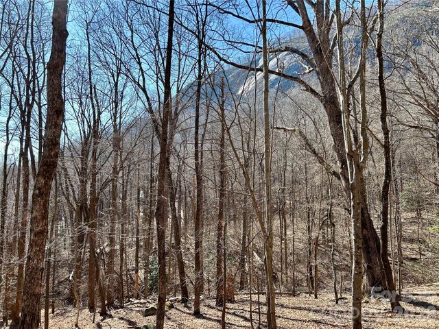 Lot 229 Swallow Lane, Lake Lure, NC 28746