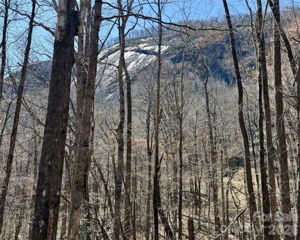 Lot 229 Swallow Lane, Lake Lure, NC 28746