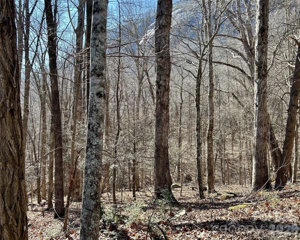 Lot 229 Swallow Lane, Lake Lure, NC 28746