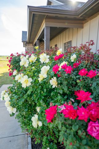 132 Addie Way, Tuscola, TX 79562