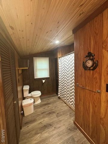 1560 Wayne 523, Wappapello, MO 63966