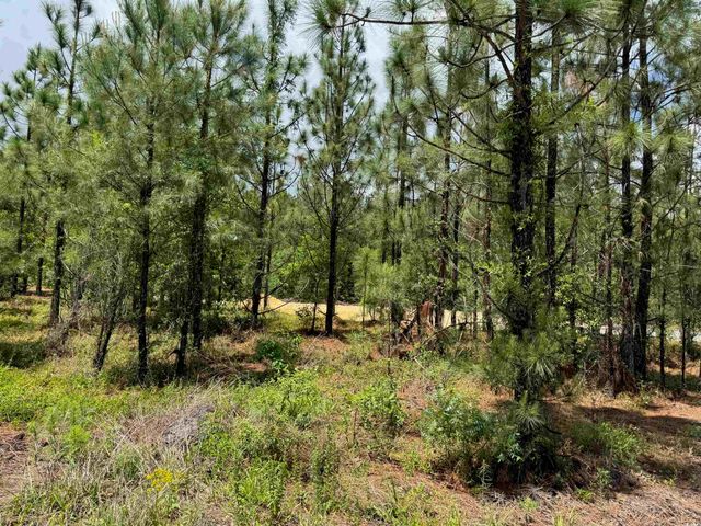 1698 Carriage Dr., Loris, SC 29569