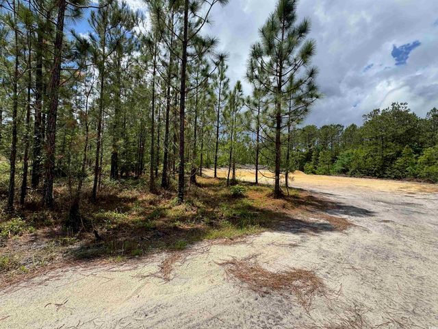 1698 Carriage Dr., Loris, SC 29569
